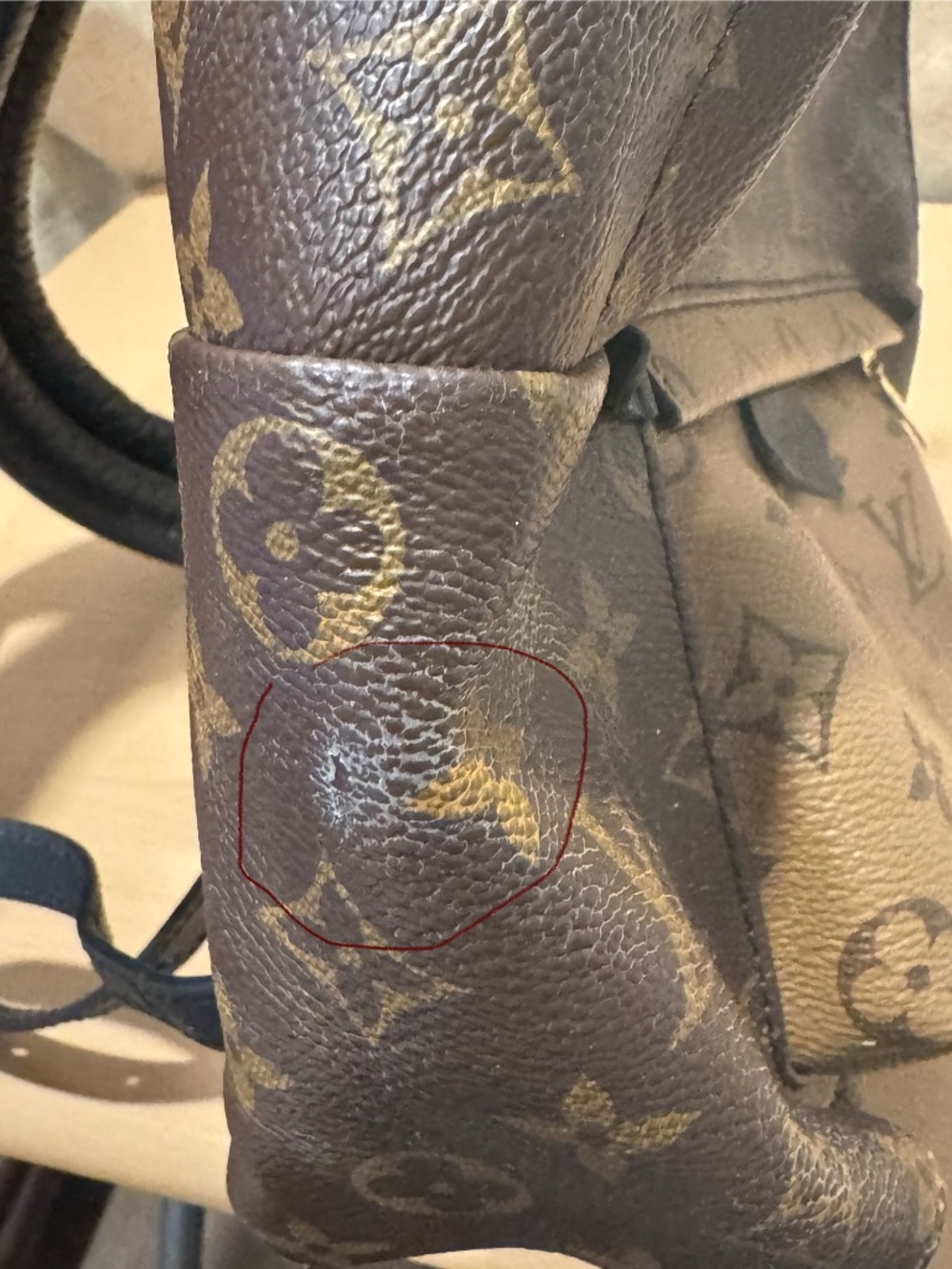 Louis Vuitton Palm Springs Backpack Reverse Monogram Canvas PM - Picture 6 of 16